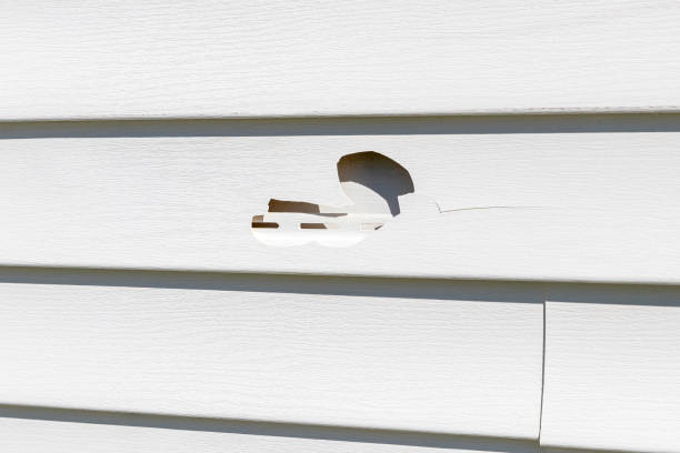 Demolition Debris Removal in Whitney, SC