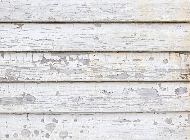 Best Same-Day Junk Removal Services  in Whitney, SC